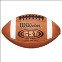 Travis High School Logo