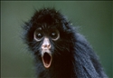 Zach Carpenter Profile Picture