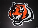 Spring Valley High School Logo