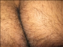 josh adams Profile Picture