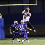Damien Wilson Profile Picture