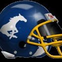 Norwood High School Logo