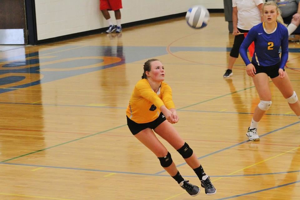 Image result for image of anna carney volleyball mn