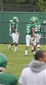 Zayd Hamilton