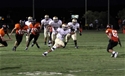 Zach Fernandez