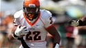 Brandon Adams