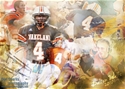 Dalton Walls