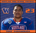 Tony Fahamokioa