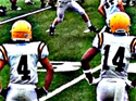 Joe Reed