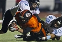 Austin Vanderpool