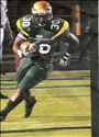 Fred Williams