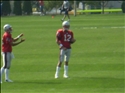 Sean Harkins
