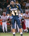 Mike Festa