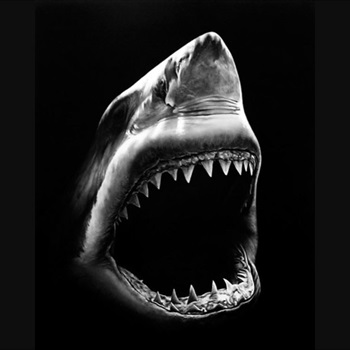 Gianpierre G Fajardo