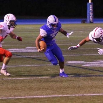 Plinio (PJ) Rodrigues-Gomes