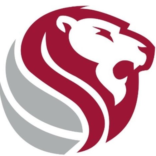 Haleyville Lions Volleyball High School Sports Home Hudl