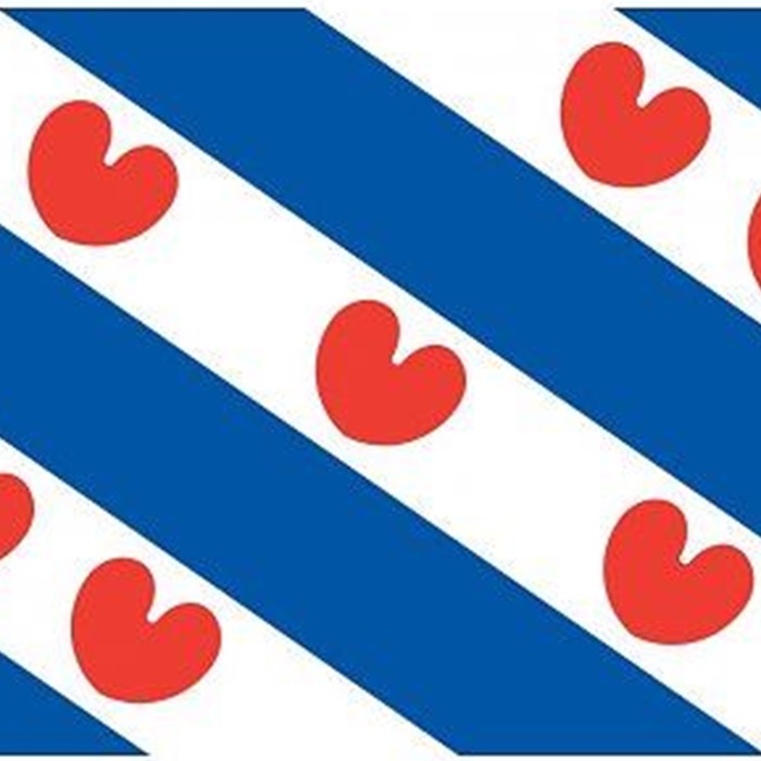 Sc Heerenveen Everything You Need To Know Before Your First Match in Friesland