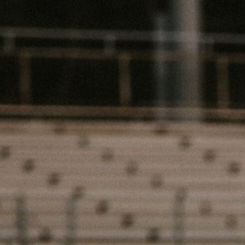 Marcus (Hayden) Martin