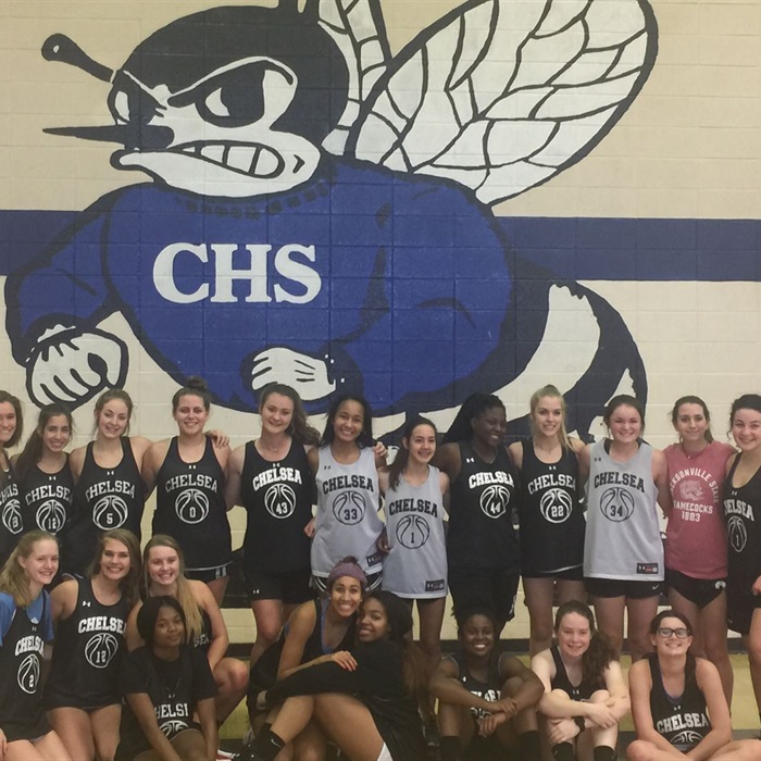 lady hornets chelsea high school chelsea alabama chelsea high school alabama