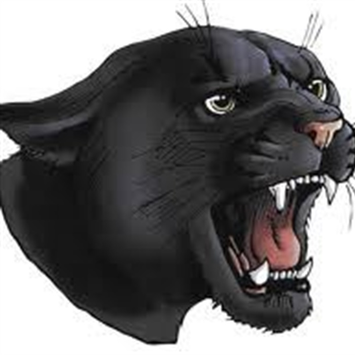 Panthers High School Sports Home Hudl