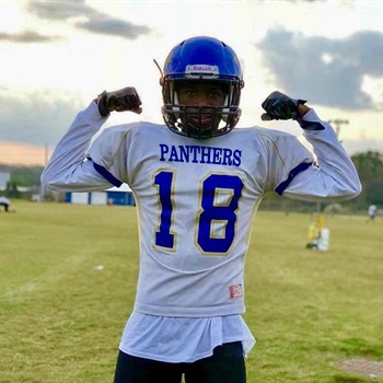 Quevoluia Willoughby