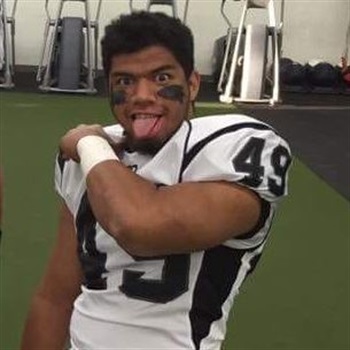 Fautua Taulelei