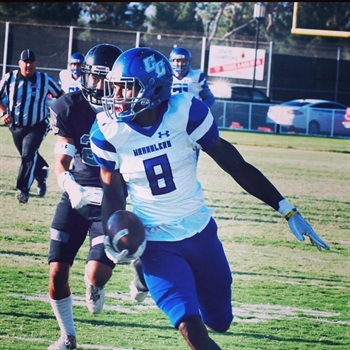Jarvis Williams Jr