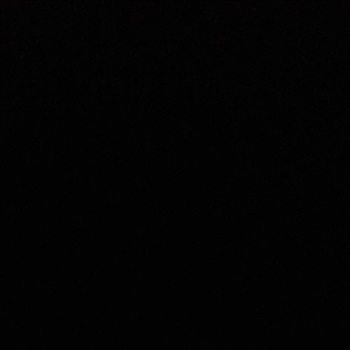 Sylen Kiesel-Kauhane