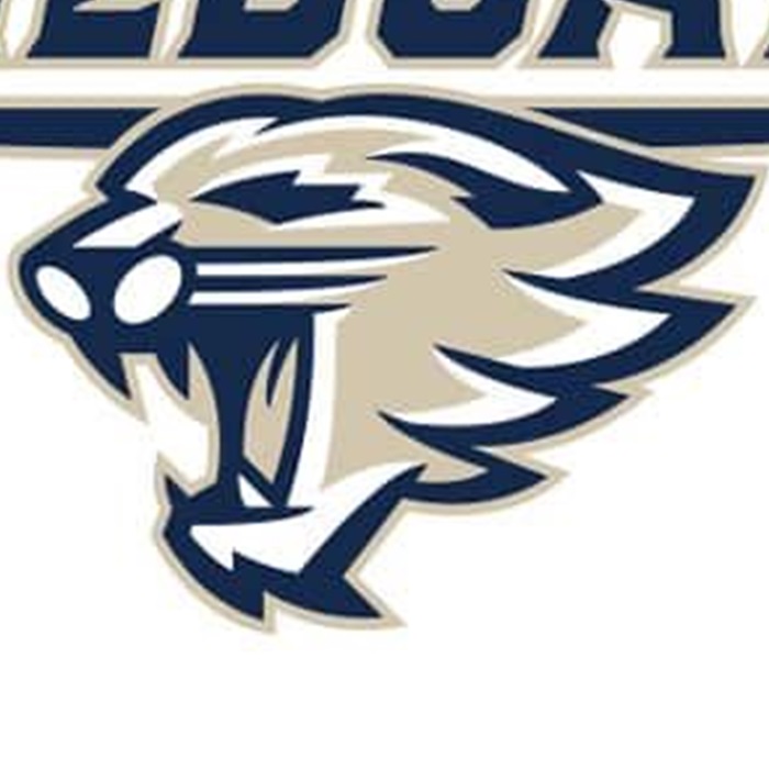 Texas Rising Star Logo