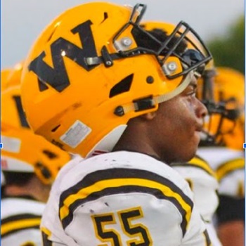 Cedric E. Johnson Jr.