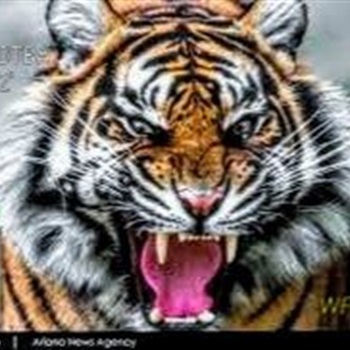 Vincent "Tank" Yaghoubi