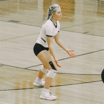 Addi Anderson