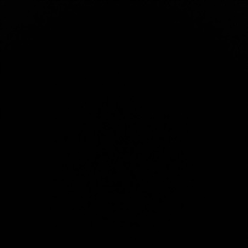 Te'andre Witherspoon