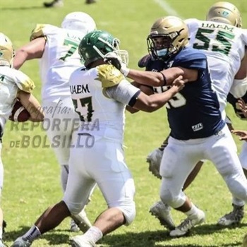 GUILLERMO GARRIDO BALLESTEROS