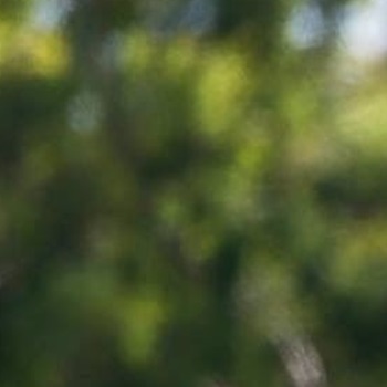 Danielle "Flea" Bartels