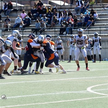 Alexander Cossignani