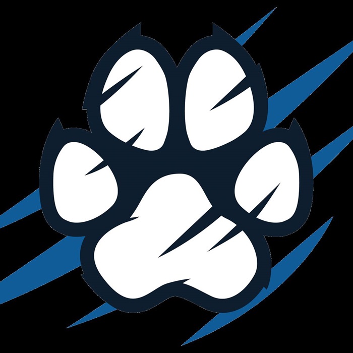 Bryant & Stratton College Buffalo Bobcats College Sports Home Hudl