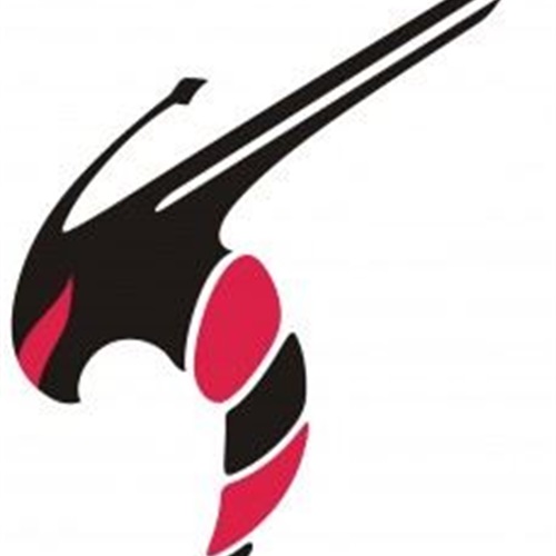 Boys' Varsity Football Loyd Star High School Brookhaven