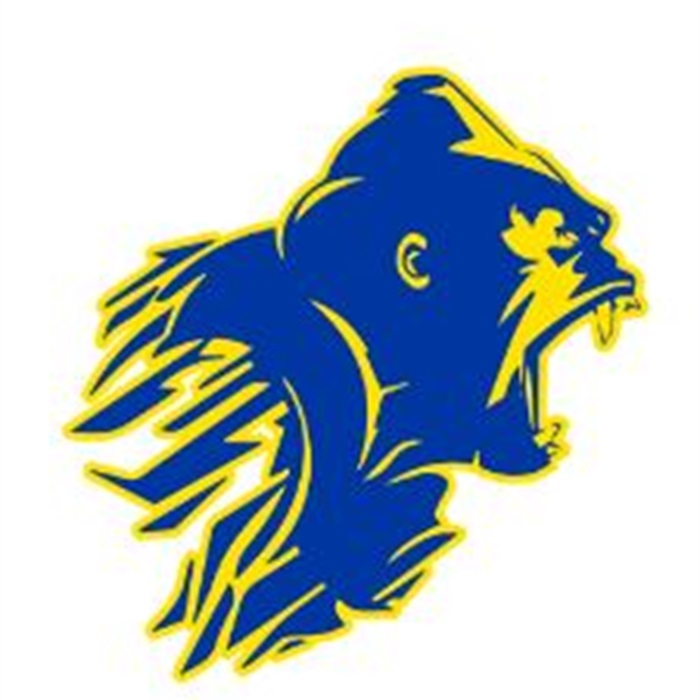 Rising Star vs Trent High School Varsity Football 10/7/2023 Box