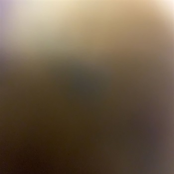 Michael javon Williams