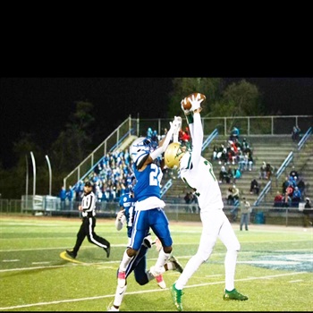 Matteao Petruzziello