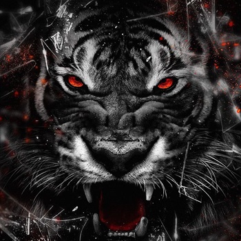 Jean-Paul Francois Van de Voorde