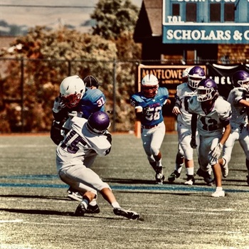 Gavin Tank Cresetetto