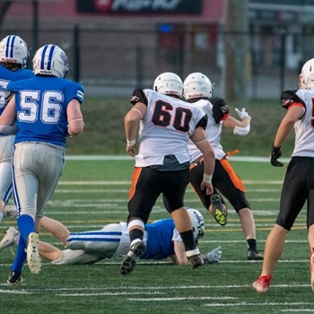 Giuseppe Cucciniello