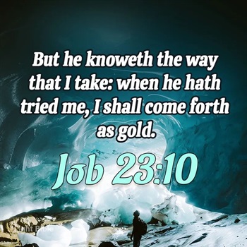 Christopher Lamont Newton Jr.