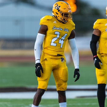 Tyrese. Gibson-Battles