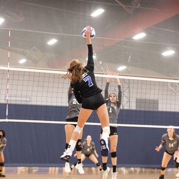 Annabelle Grace Korta