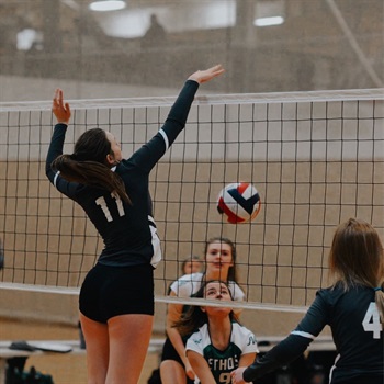 Emily Shumaker