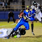 Tarik Palacio
