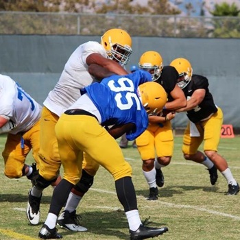 Fernando Villanueva-Galvan